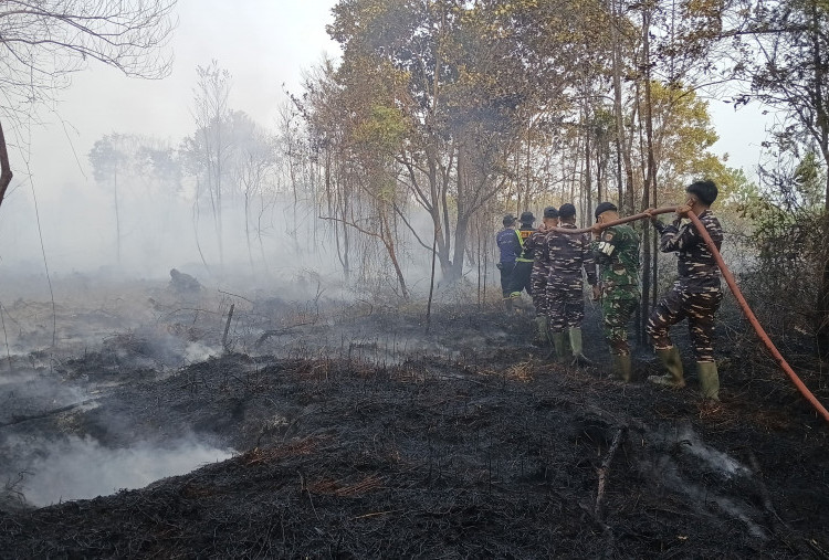 Karhutla di Kaltim Meluas, 50 Hektare Lahan Hangus