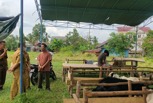 H -14 Idul Adha, Penjualan Hewan Kurban Masih Sepi 