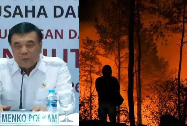 Menko Polkam: Karhutla Terjadi karena Kesengajaan dan Kelalaian