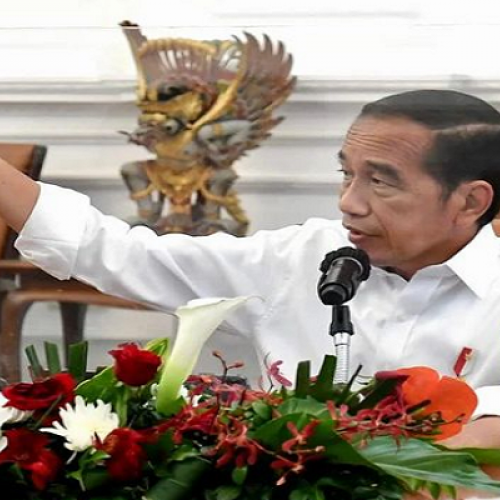 Jokowi Cabut Subsidi Minyak Goreng Kemasan, Edi Priyono: Presiden Ingin Menjaga Keseimbangan