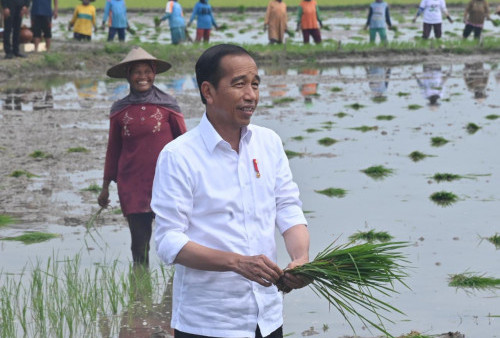 Jokowi Dorong Petani Gunakan Pupuk Organik