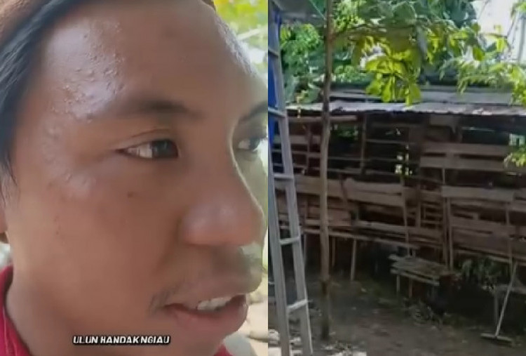 Ngakak Banget! Kurir Paket di Banjarbaru Kaget Manggil 'Paket!' Malah Dijawab Kambing