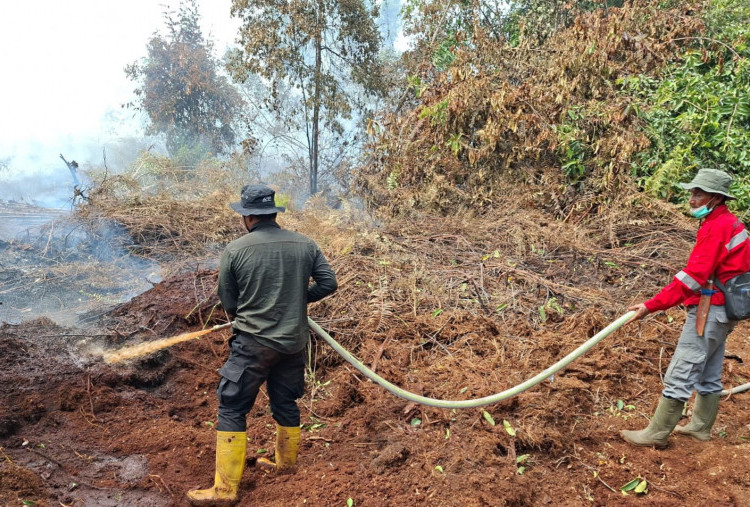 1.436 Hotspot Muncul di Sumatera, Riau Catat 246 Titik, Hujan Buatan Dikerahkan