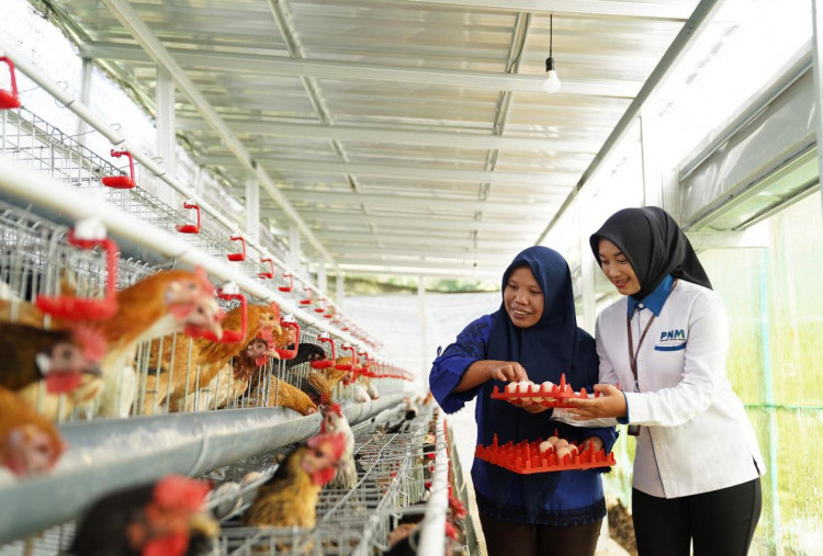  Ketahanan Pangan Berbasis Komunitas, Strategi PNM Perkuat Gizi Masyarakat