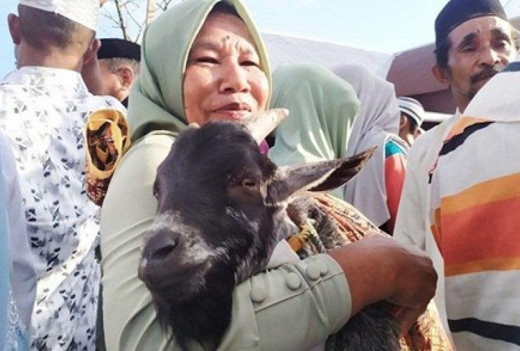Simbol Kekayaan Budaya dan Syariat, Ini Yang Perlu Kamu Ketahui Sebelum Berkurban