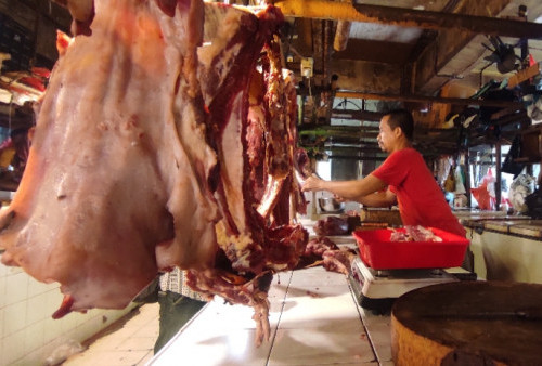 Pembeli Daging Takut PMK, Pedagang di Jakarta Barat Pilih Ternak dari Tangerang 