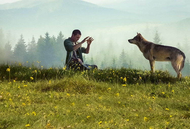 The Strange Case of Jacky Caillou, IFI Surabaya Ramaikan Gelaran Road to Europe on Screen 2026