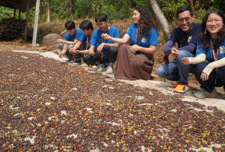 Program iCOP UK Petra di Desa Dilem, Mojokerto, Hidupkan Ekonomi dan Wisata Kopi