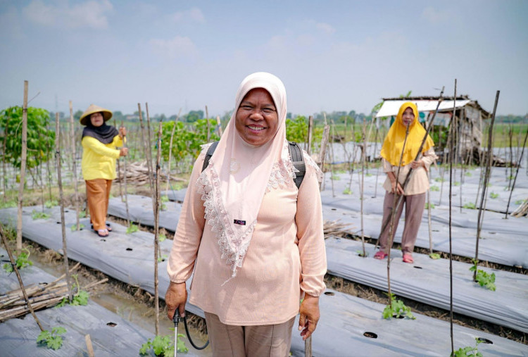 Kisah Sumarni, Petani Perempuan yang Berjuang Biayai Keluarga dari Hasil Panen Palawija