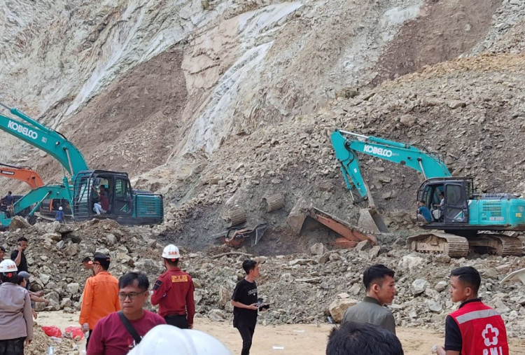 Berantas Tambang Ilegal, Kementerian ESDM Amankan Tumpukan Batu Bara di Kutai Kartaanegara