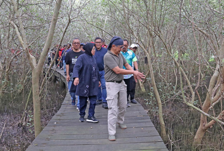    Sepanjang menyusuri hutan mangrove, Risma ( pangilan akrab Tri Rismaharini ) membagikan cerita pengalamannya saat berkunjung ke Phuket,Thailand. Ia mendapati banyak bangunan yang rusak akibat tsunami .Mengingat Indonesia sebagai negara kepulauan, Risma selanjutnya mengungkapkan peran penting mangrove yang
juga untuk menjaga kualitas dari protein, sumber protein kita, yaitu ikan-ikan dan makanan-makanan laut, itu akan terjaga,” kata Risma.
   Selanjutnya Rocky Gerung mengusulkan agar kawasan tersebut bisa dimanfaatkan sebagai lokasi pernikahan dengan konsep tanggung jawab ekologis. “Kami bikin syarat, yang menikah di sini, pengantin pria harus menanam pohon, pengantin perempuan harus menyiram setiap minggu, dan bila bercerai, dua-duanya harus menambah dua kali lipat, supaya ada tugas ekologi dari pasangan-pasangan yang hendak memelihara rumah tangga karena memelihara rumah tangga sama dengan memelihara bumi. Bumi adalah rumah tangga untuk manusia,” Jelas Rocky
( Boy Slamet-Harian Disway ) 
