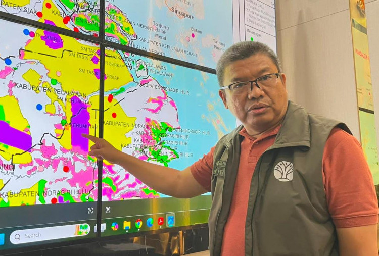 Habitat Harimau Sumatera Terancam, Karhutla Gulung SM Kerumutan di Riau