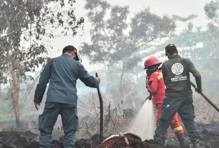 Karhutla Belum Padam Sejak Agustus, Pemerintah Kerahkan Satgas Darat dan Udara