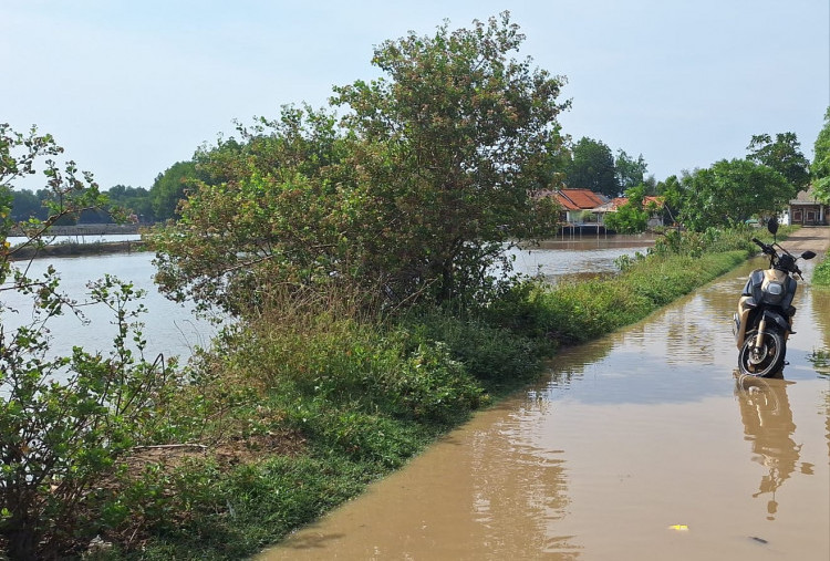 Desa di Babelan Bekasi Terancam Tenggelam, 1.000 Warga Terdampak