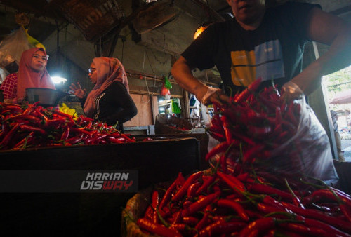 Pedagang menata cabai rawit di Pasar Keputran Surabaya, Jawa Timur, Senin 1 Agustus 2022. Harga jual beberapa jenis cabai di Kota Pahlawan mulai turun seperti cabai menjadi Rp50.000 per kilogram dan cabai merah teropong Rp40.000 per kilogram.