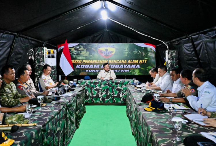 Cuma 2 Menit 16 Detik! BMKG Klaim Sistem Peringatan Tsunami Flores Bekerja Super Cepat