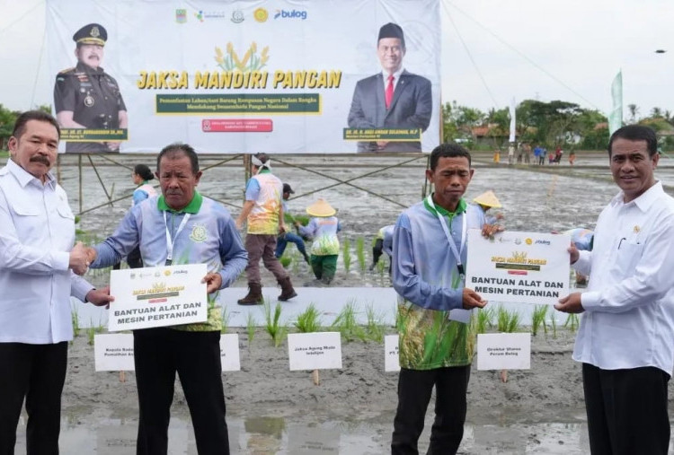 Kejagung Manfaatkan Tanah Rampasan Untuk Swasembada Pangan