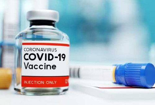 Vaksin Covovaxmirnaty Dari India Haram, Ini 6 Rekomendasi MUI