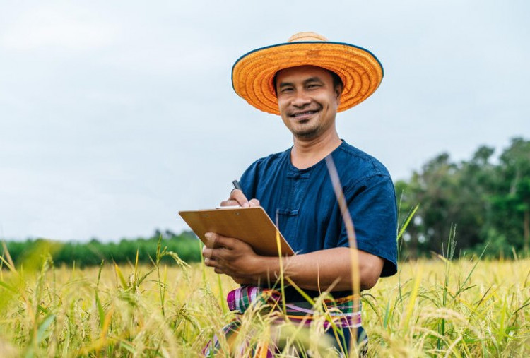 Cara Daftar Petani Milenial 2024 Beserta Syarat Lengkapnya