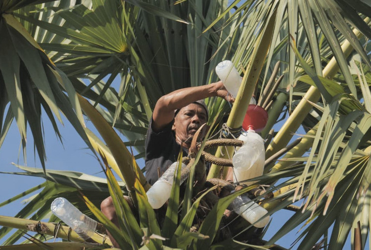 BRI Dukung Desa Hendrosari Bangkit, UMKM Tumbuh Lewat Wisata Lontar Sewu
