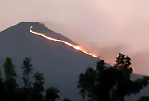 Kebakaran Gunung Penanggungan Mojokerto, Api Merambat ke Gunung Sarang Kelapa