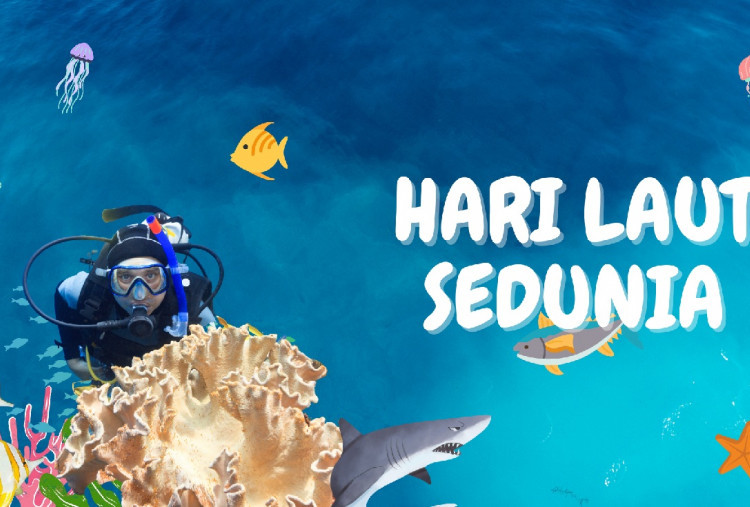 PBB Gelar Perayaan Hari Laut Sedunia 8 Juni 2026, Ini Tema dan Sejarahnya