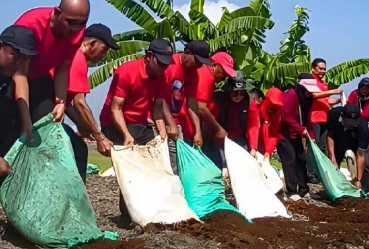 Bersamai Warga Antisipasi El Nino Godzilla, PDIP Jombang Buka Lahan Sayur Gratis 
