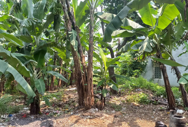 BPA Lelang Aset Rampasan Kasus Bank BJB Syariah di Bandung