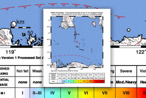 Gempa Bumi Tektonik Goyang Laut Flores 