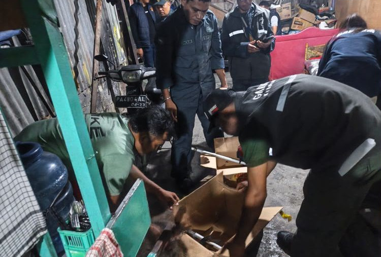 Terungkap! Kemenhut Gagalkan Perdagangan Burung Dilindungi Lewat Facebook di Jayapura