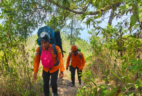 Hilang Di Gunung Wilis, Pendaki Asal Cengkareng Hingga Kini Belum Ditemukan