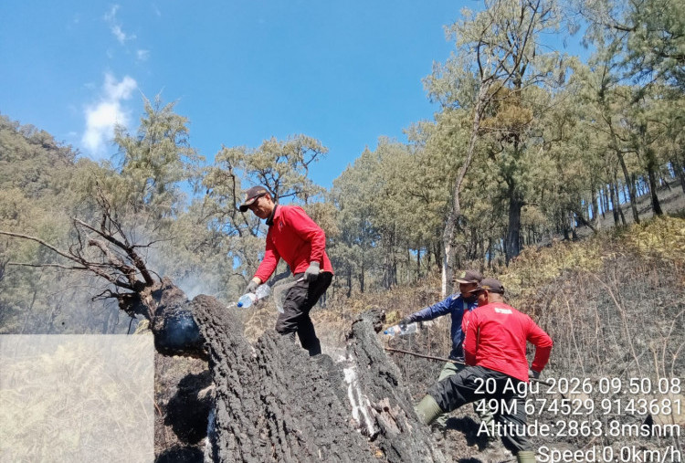 Api di Gunung Arjuno Padam, BPBD Jatim Fokus Pembasahan Lahan