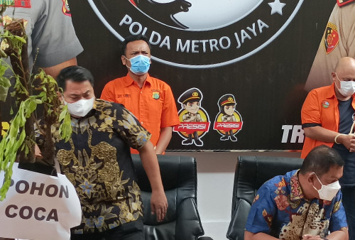 Penyeludupan 200 Biji Kokain ke Luar Negeri Digagalkan Polisi Bersama Bea Cukai, Diambil dari Kebun Raya Bogor