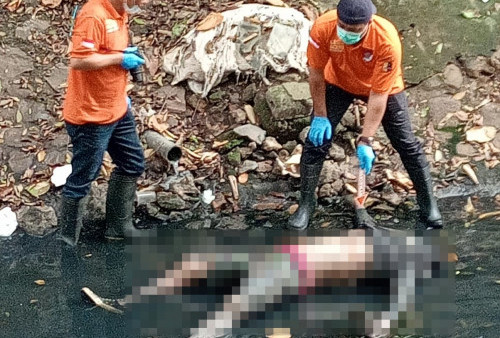 Mayat Pria Ditemukan di Dekat Kali Bundaran HI, Diduga Maling Kabel