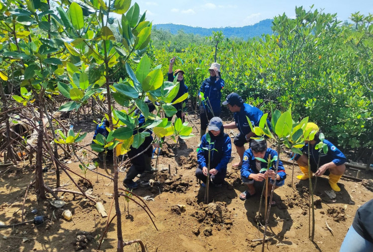 Menjaga Biru Laut Selaras Hijau Mangrove