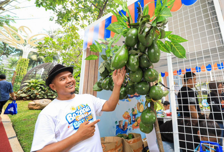 Berkat Program Pemberdayaan BRI Klasterku Hidupku, Petani Ini Berhasil Kembangkan Budidaya Alpukat