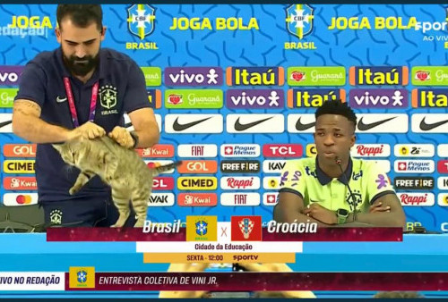 Viral! Momen Unik Saat Kucing Ikut Konferensi Pers Laga Brazil vs Kroasia