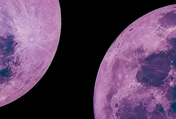 Cara Melihat Pink Moon April 2026 dan Waktu Terbaiknya di Indonesia, Bisa Tanpa Alat Bantuan