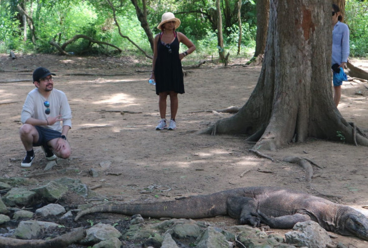 Jelajah Pulau Komodo di Taman Nasional Komodo, Nusa Tenggara Timur