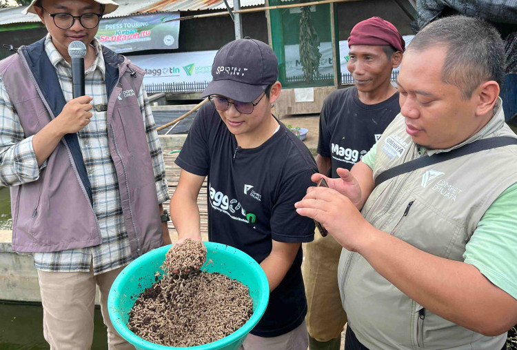 Program Maggotin Dompet Dhuafa Bantu Warga Lampung Naikkan Omzet hingga Puluhan Juta