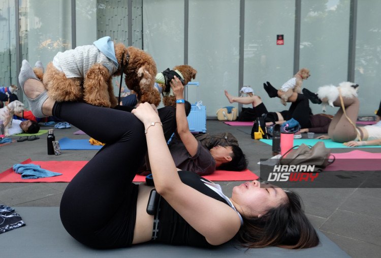Yoga with Dog, Tren Wellness Baru di MR.D.I.Y. Dogs Day Out