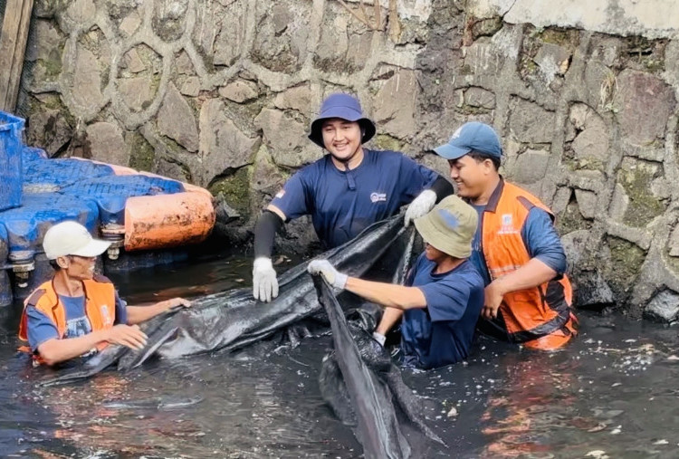 Pramono Bentuk Timsus Pemburu Ikan Sapu-sapu, Jaga Kelestarian Sungai Jakarta