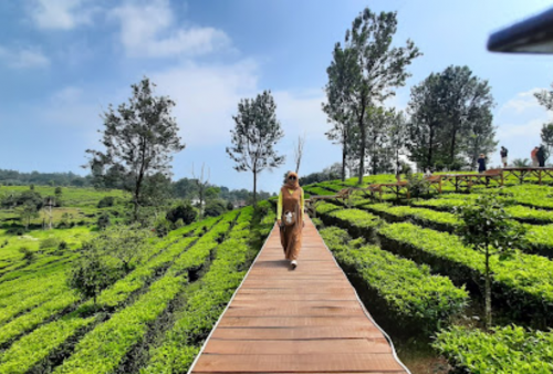 Mau Healing di Akhir Pekan? Ada 3 Wisata Kebun Teh di Bogor, Tiketnya Murah Meriah