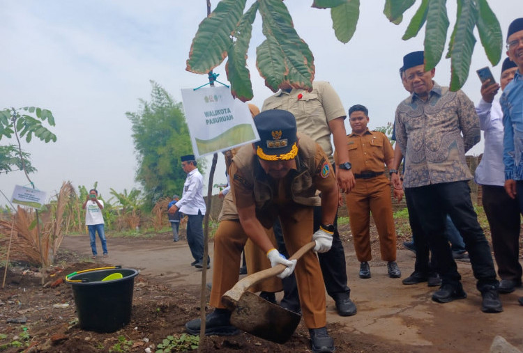 Hari Amal Bhakti Kemenag, Wali Kota Pasuruan Tanam Pohon Matoa