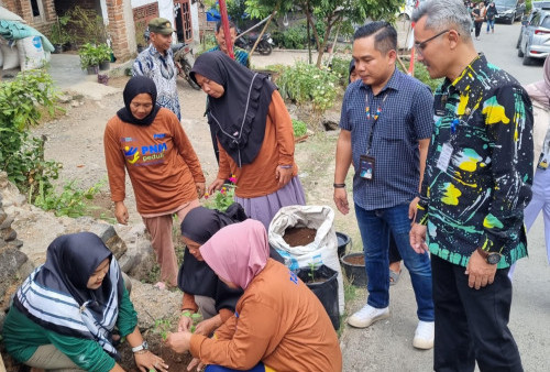 Harga Tidak Stabil, PNM Sebar Bantuan 1.500 Bibit Cabai Buat Warga Desa