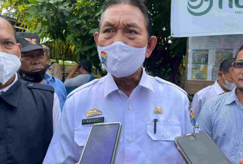 DPKP Palembang Berikan SKKH Pada 3.000 Sapi