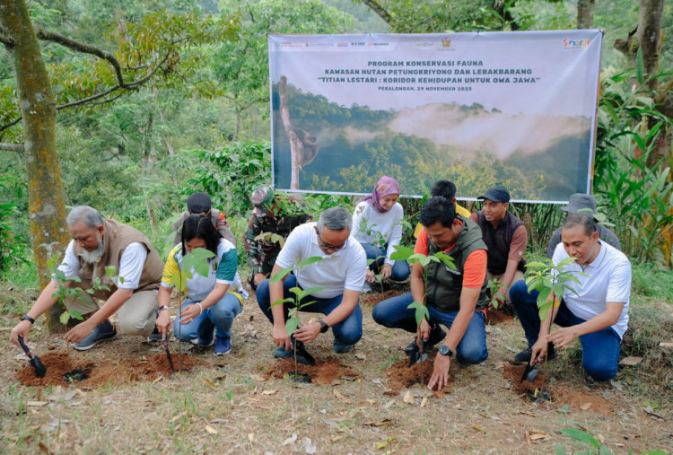 Peduli Primata, Yayasan AHM Gandeng Masyarakat Pekalongan Lestarikan Satwa Owa Jawa