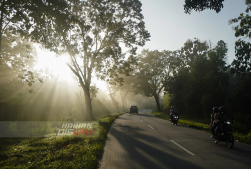 Kendaraan melintasi jalan yang tertutup kabut di Jalur Blora - Purwodadi Jawa Tengah, Selasa (3/5). Para pemudik diimbau untuk lebih waspada saat melintasi jalan yang menghubungkan Blora - Purwodadi, terutama saat kondisi berkabut yang mengakibatkan berkurangnya jarak pandang. Foto: Julian Romadhon 