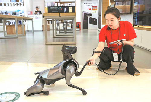 Anjing Robot Makin Tren di Tiongkok