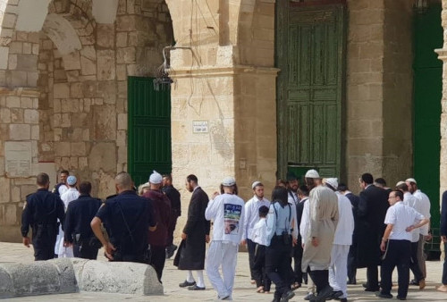 Ratusan Zionis Israel Duduki Masjid Al-Aqsa dengan Melakukan Ritual Talmud 